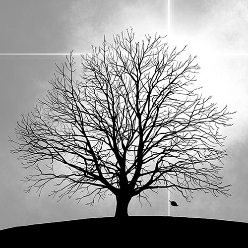 Ambiente Lunch Servetten - Tree Ambiente Lunch Servetten - Tree