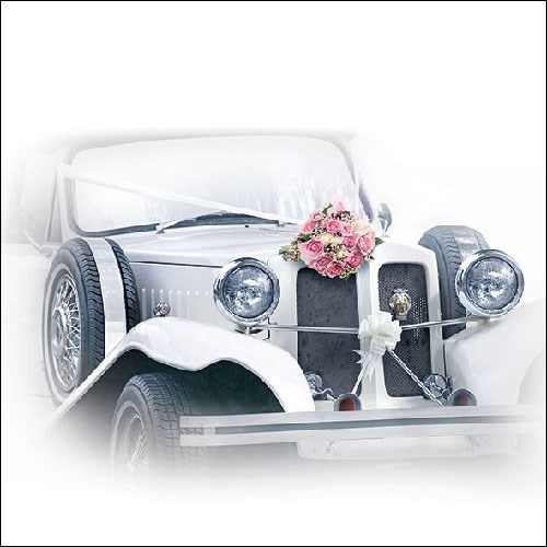 Lunch Servetten - Wedding Car