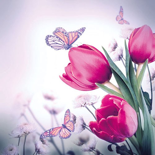 Lunch Servetten - Butterfly & Tulips