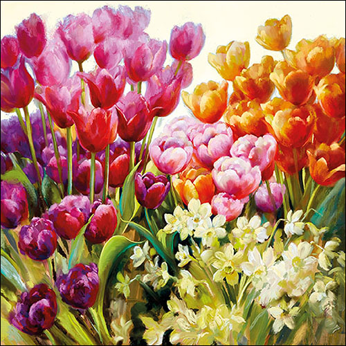 Lunch Servetten - Tulips
