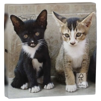 Lunch servetten - Kittens