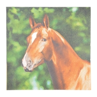 Lunch servetten - Paard
