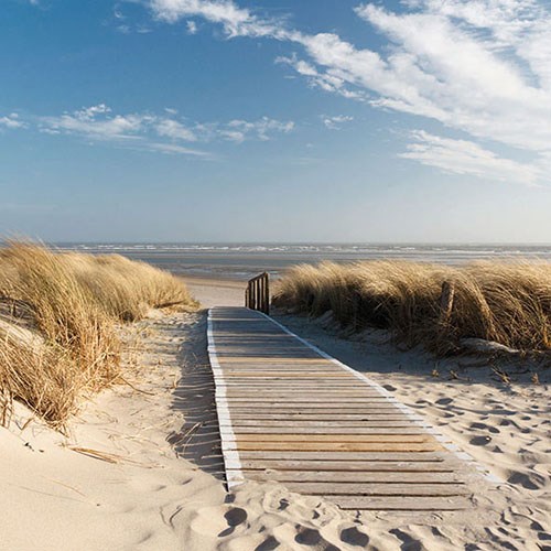 Lunch servetten - Walking To The Sea