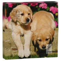 Lunch servet per stuk - Puppy's