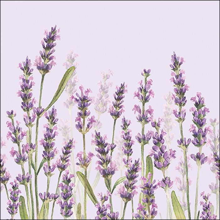 Lunch servet per stuk - Lavender Shades Lila Lunch servet per stuk - Lavender Shades Lila