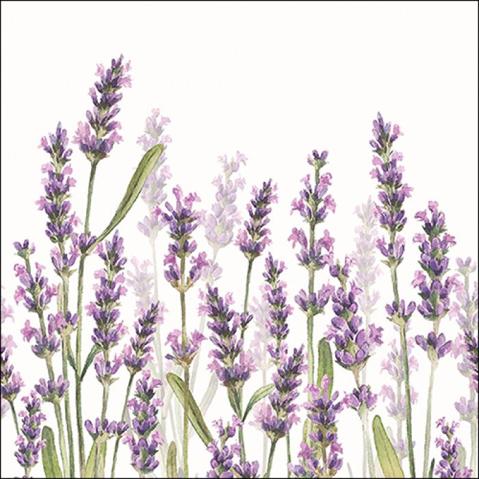 Lunch Servet per stuk - Lavender Shades White Lunch Servet per stuk - Lavender Shades White