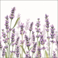 Lunch Servet per stuk Lavender Shades White - Ambiente - 33x33 cm