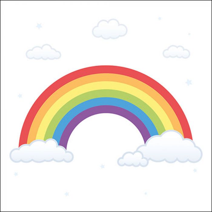 Lunch Servet per stuk - Rainbow