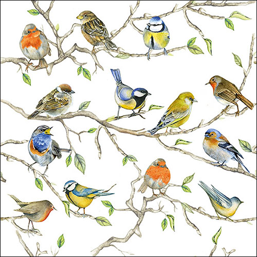 Lunch Servet per stuk - Birds Meeting