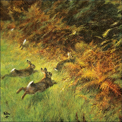 Lunch Servet per stuk - Running Rabbits