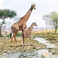 Lunch servet per stuk - Giraffes