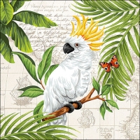 Lunch Servet per stuk - Cockatoo