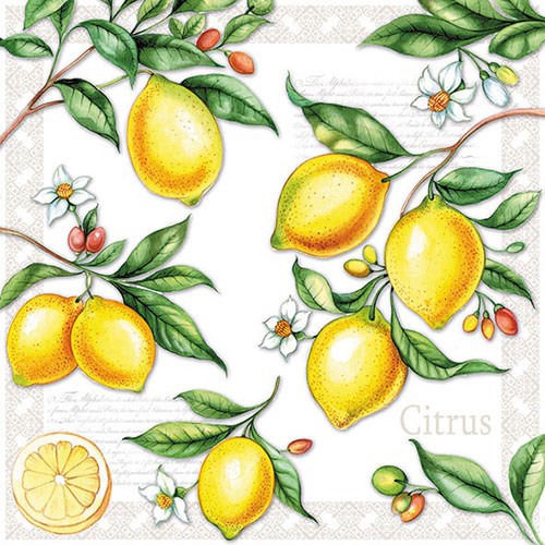 Lunch Servet per stuk - Citrus Lunch Servet per stuk - Citrus