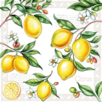 Lunch Servet per stuk Citrus - Ambiente - 33x33 cm