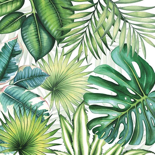 Cocktail servet per stuk - Tropical Leaves White Cocktail servet per stuk - Tropical Leaves White