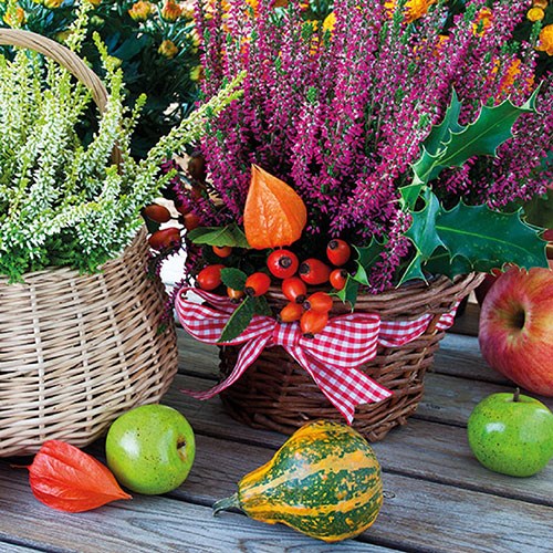 Lunch Servet per stuk - Heather Baskets Lunch Servet per stuk - Heather Baskets