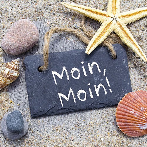 Lunch Servet per stuk - Moin Moin