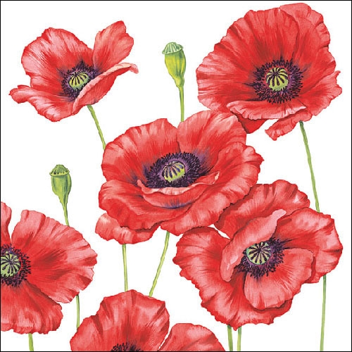 Lunch Servet per stuk - Romantic Poppy