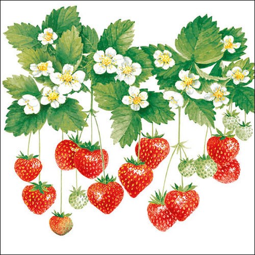 Lunch Servet per stuk - Summer Fruits