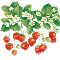 Lunch Servet per stuk Summer Fruits - Ambiente - 33x33 cm