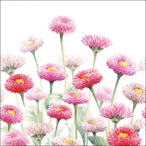 Lunch servetten - Painted bellis