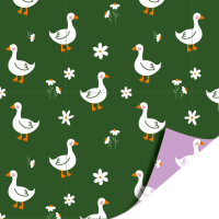 Cadeaupapier 70x200cm - Little Goose