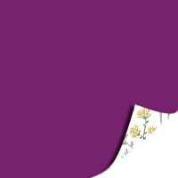 Cadeaupapier 70x200cm - Wildflowers