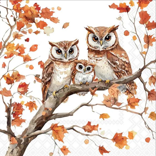 Lunch Servetten - Family of owls