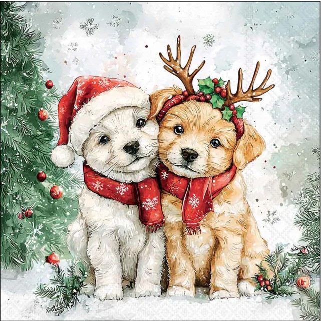 Lunch Servetten Cody and Buddy - Ambiente - 33x33 cm PRE ORDER Lunch Servetten Cody and Buddy - Ambiente - 33x33 cm PRE ORDER